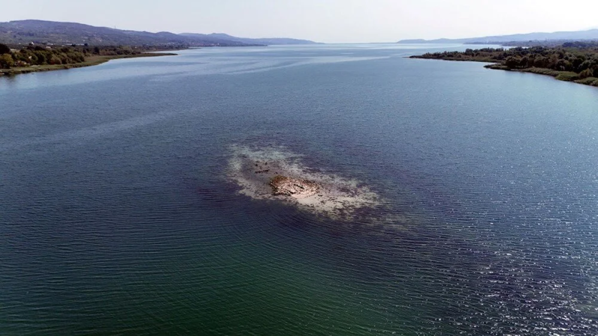 resim-2025-08-15-015342175