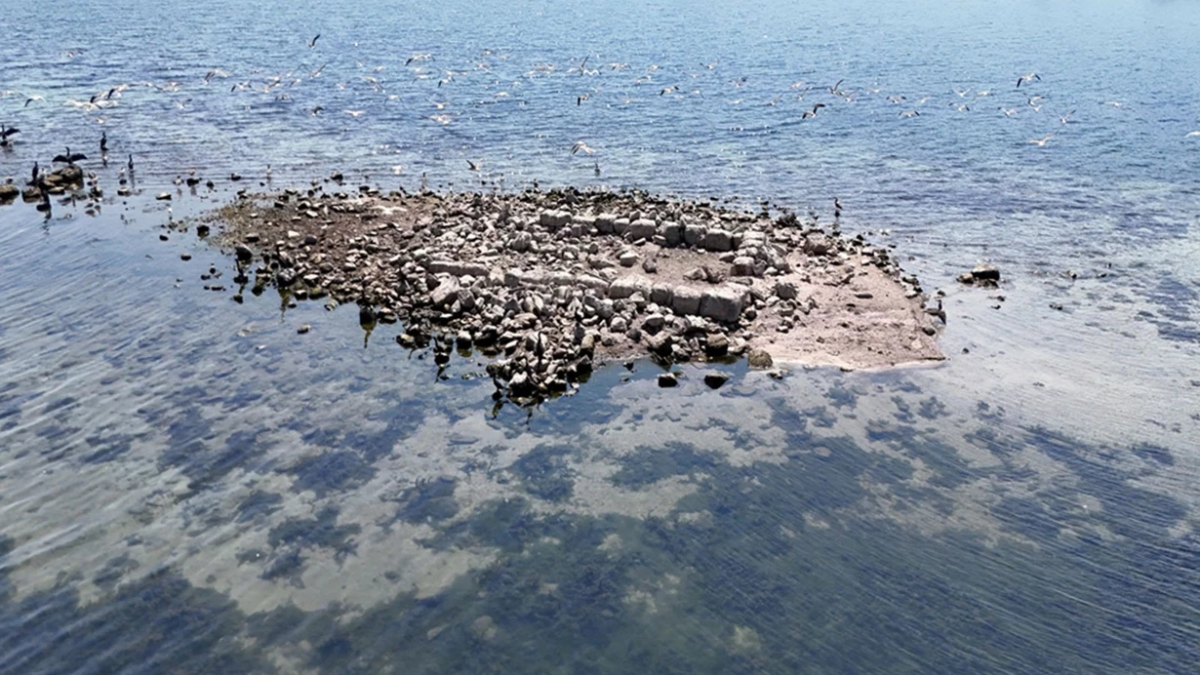 resim-2025-08-15-015400291