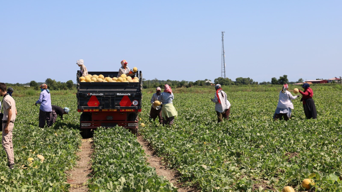 resim-2025-08-15-142406831