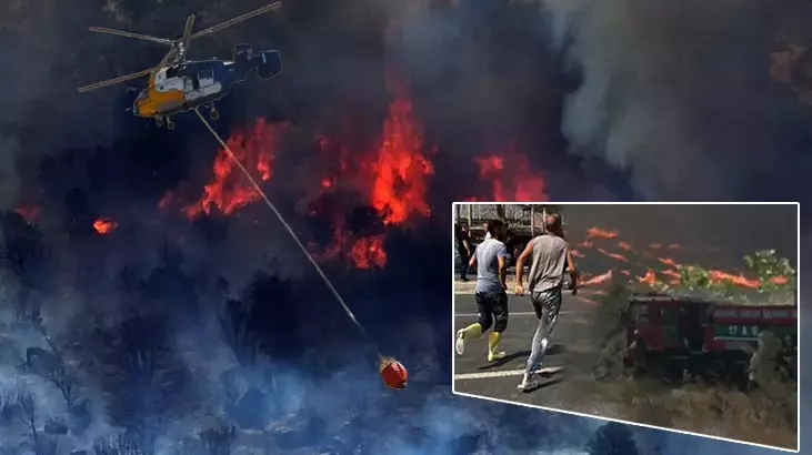 64b5695c86b2453ae419e428