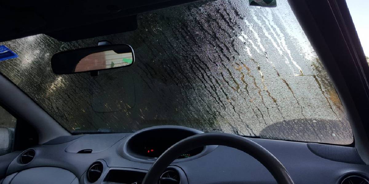 arabaya-tuvalet-kagidi-koyma-1