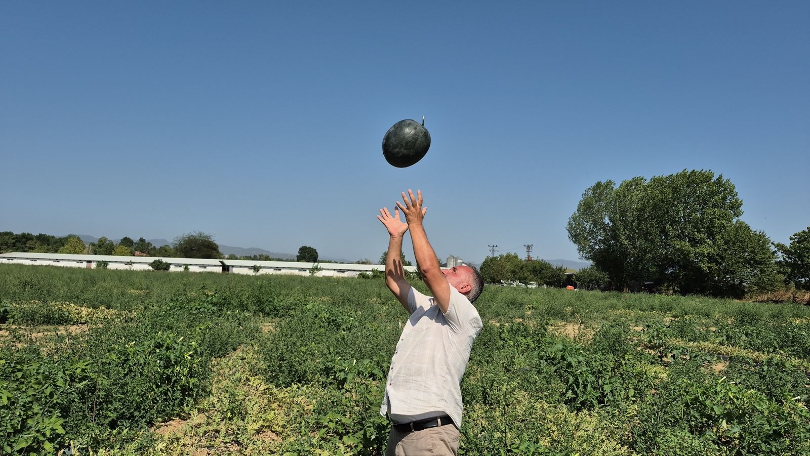 duzceden-tarim-devrimi-artik-kavun-ve-karpuz-kasimin-sonuna-kadar-yiyebilecegiz-jpeg-1