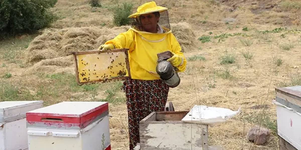 hakkaride-aricilik-yapan-2