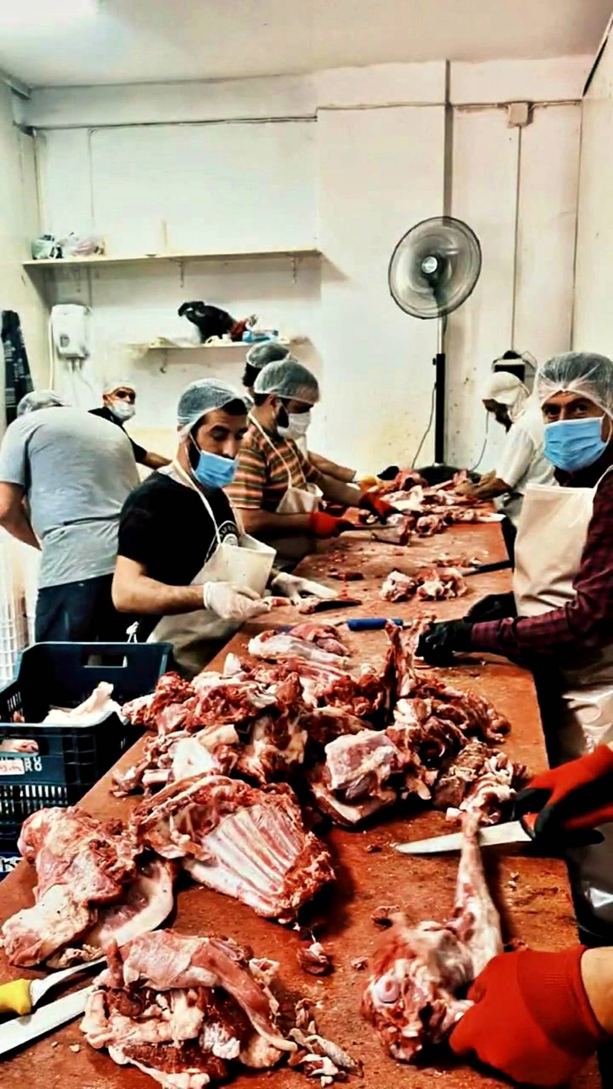 kacak-et-uretimi-nereye-sikayet-edilir-2