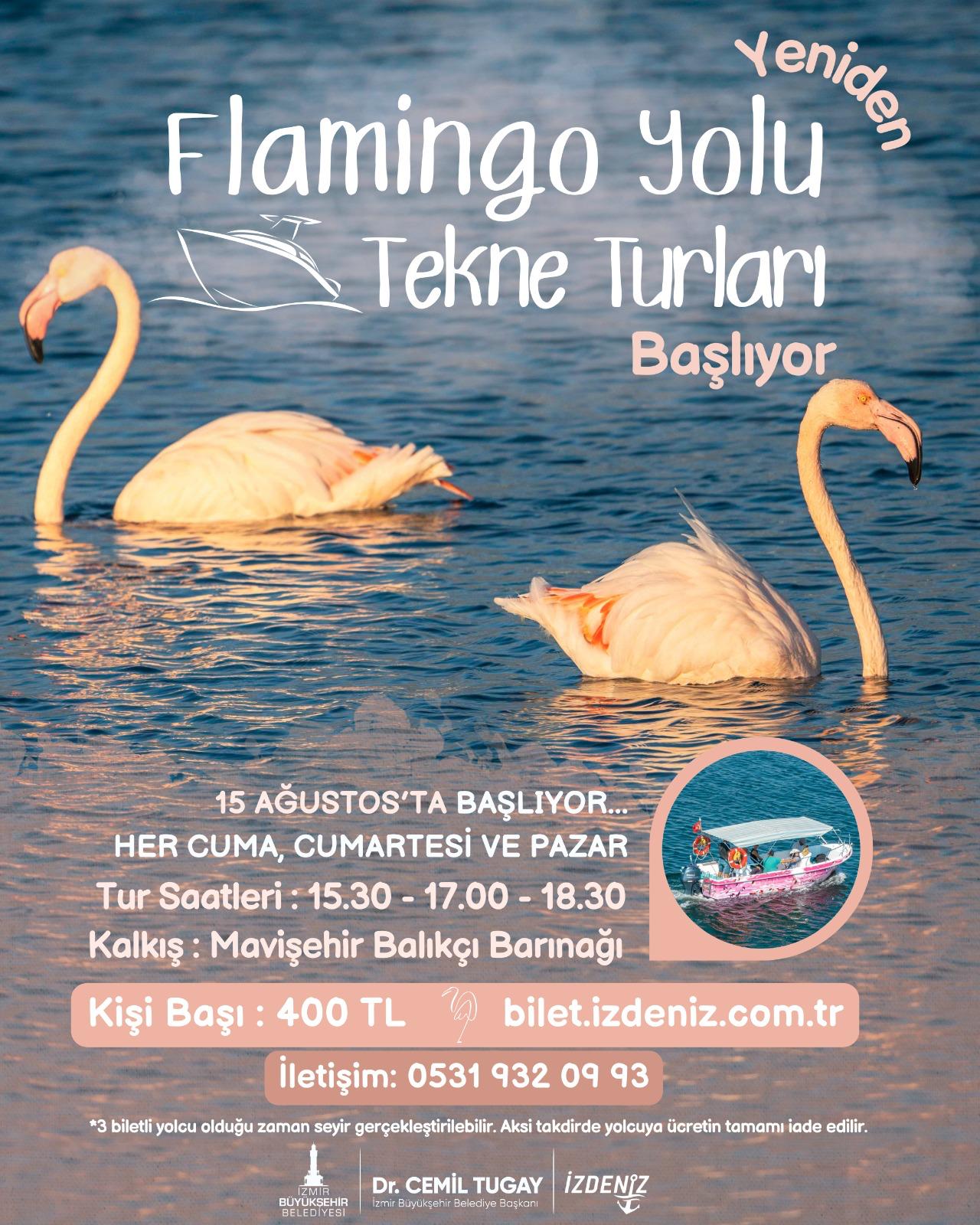 18-08-2025-23768c33-53da-4c60-9be8-e0673346a19d