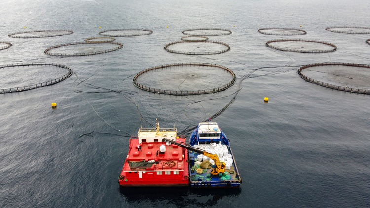 2025-08-20250817-2-70388239-116111711