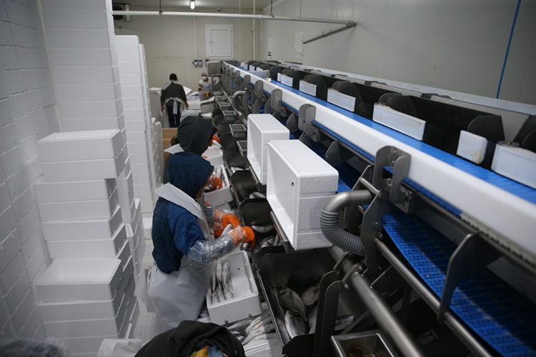 2025-08-new-folder-20250817-2-70388239-116111725