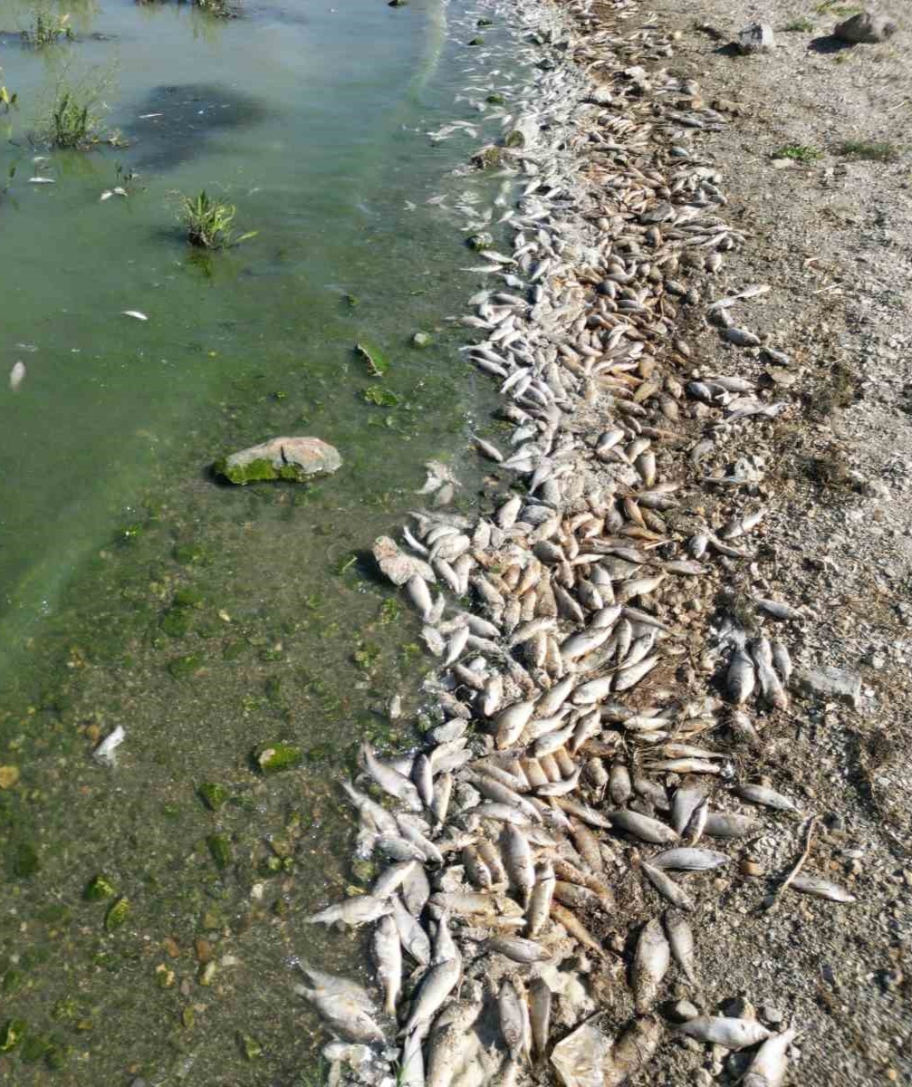 20250817aw519298-1-edit-749272616435371