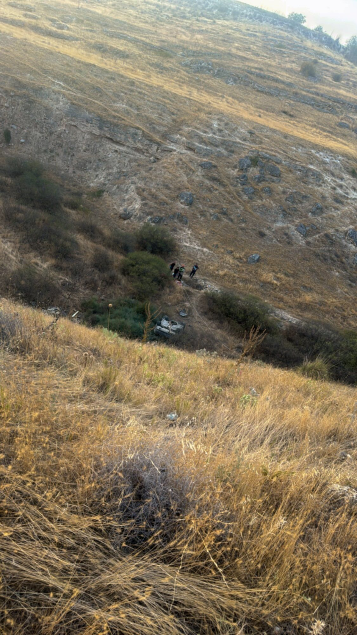 38969d79-8c15-463f-9778-fd95be323390