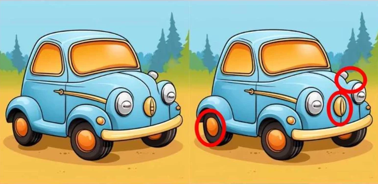 resim-2025-08-18-031857383