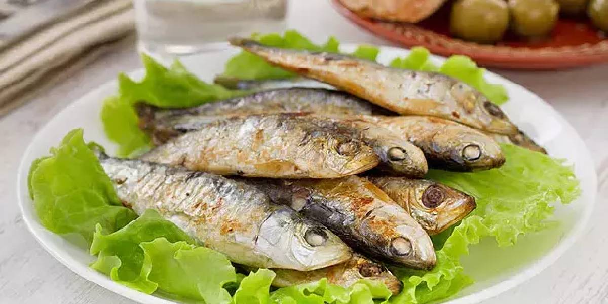 sardalya-faydalari-1