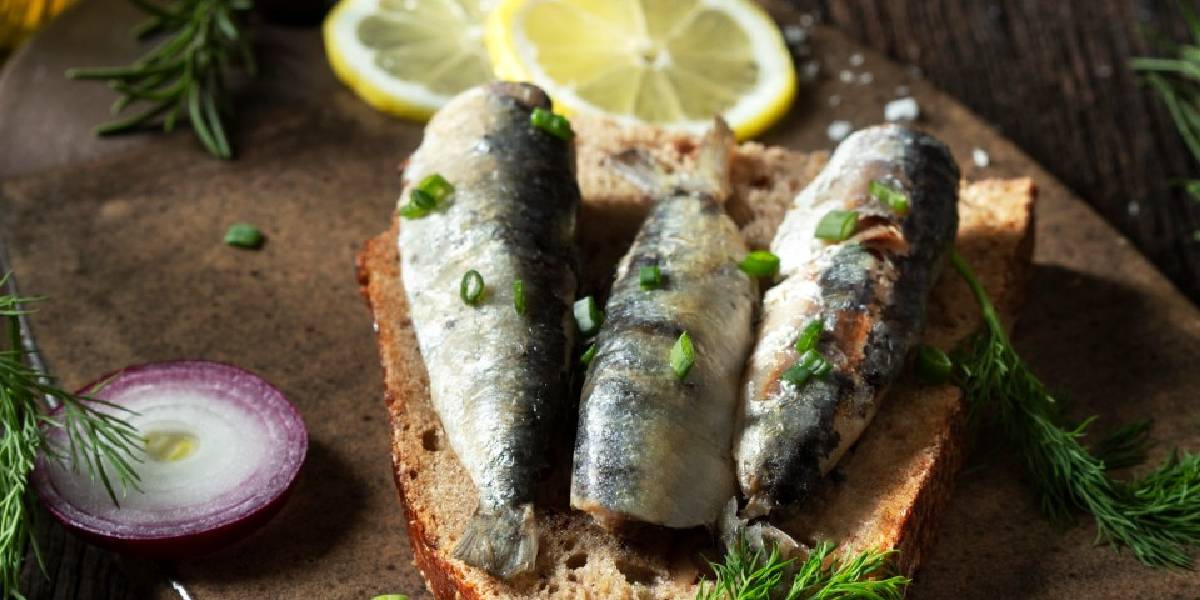 sardalya-faydalari-2