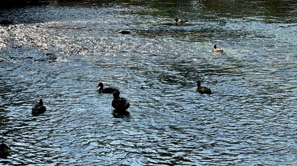 kadin-azmagi-kuraklik-sorunu-4-001