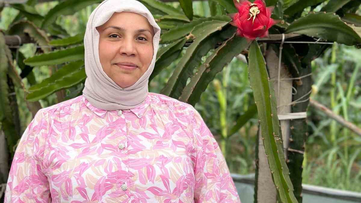 resim-2025-08-19-004738398