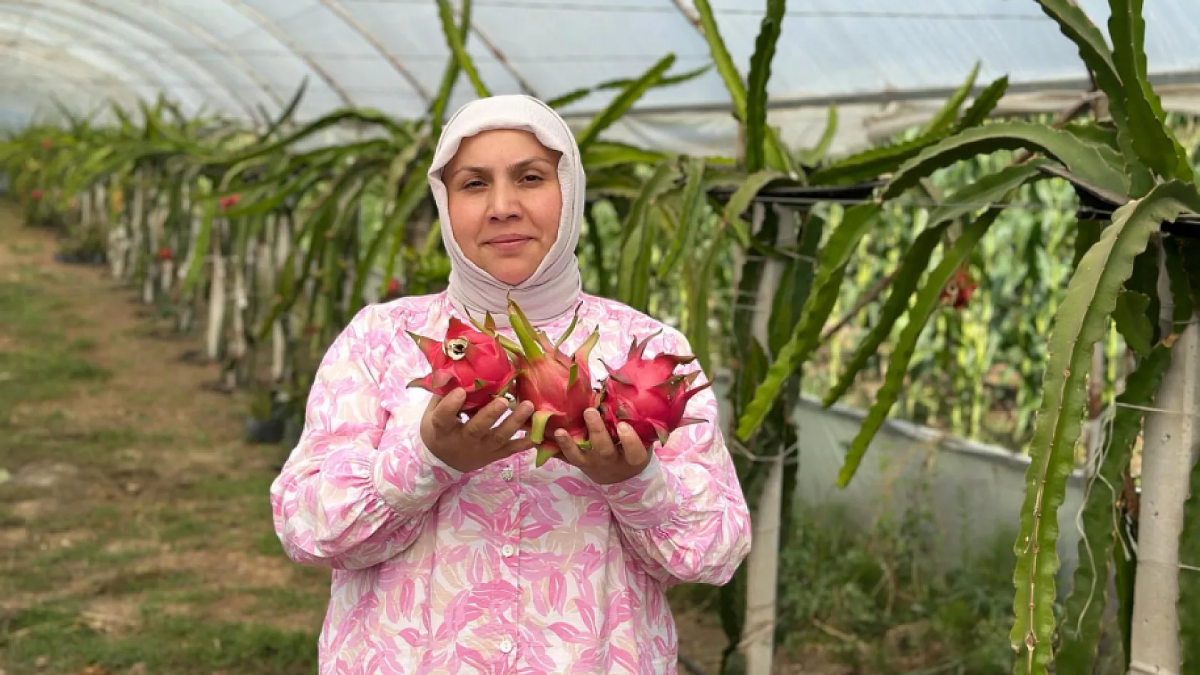 resim-2025-08-19-004843735