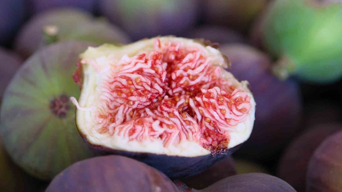 resim-2025-08-19-123942006