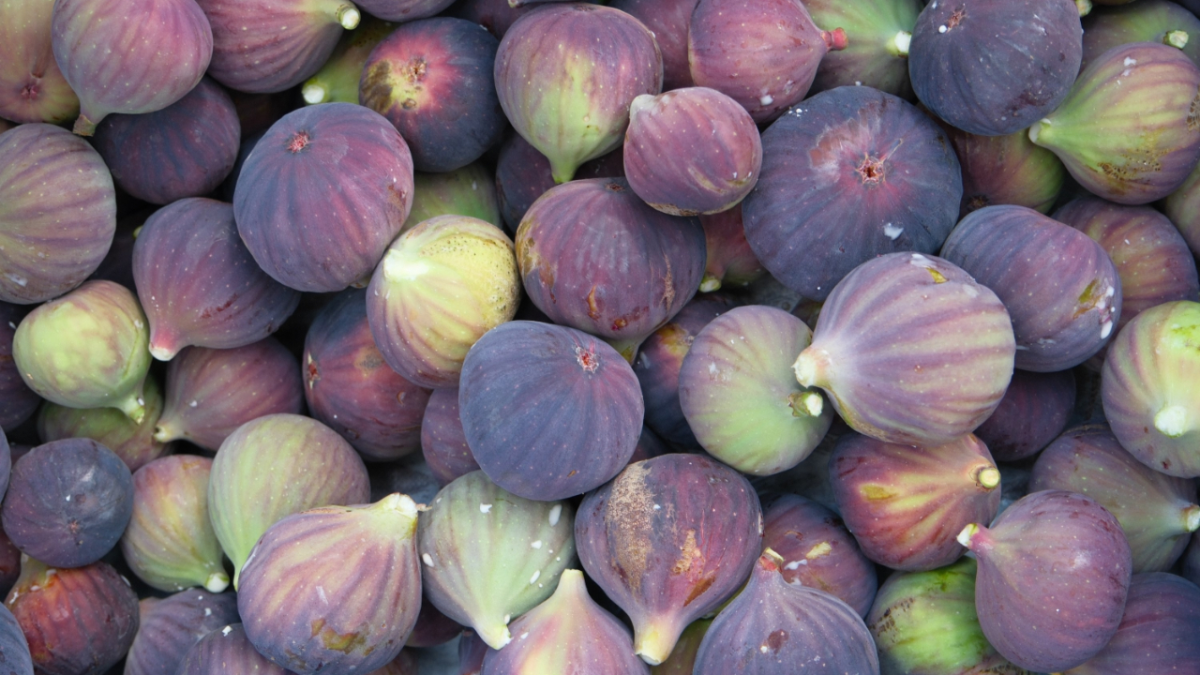 resim-2025-08-19-124016085