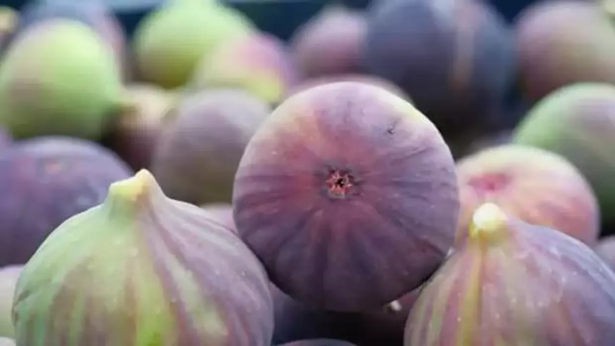 resim-2025-08-19-124047708