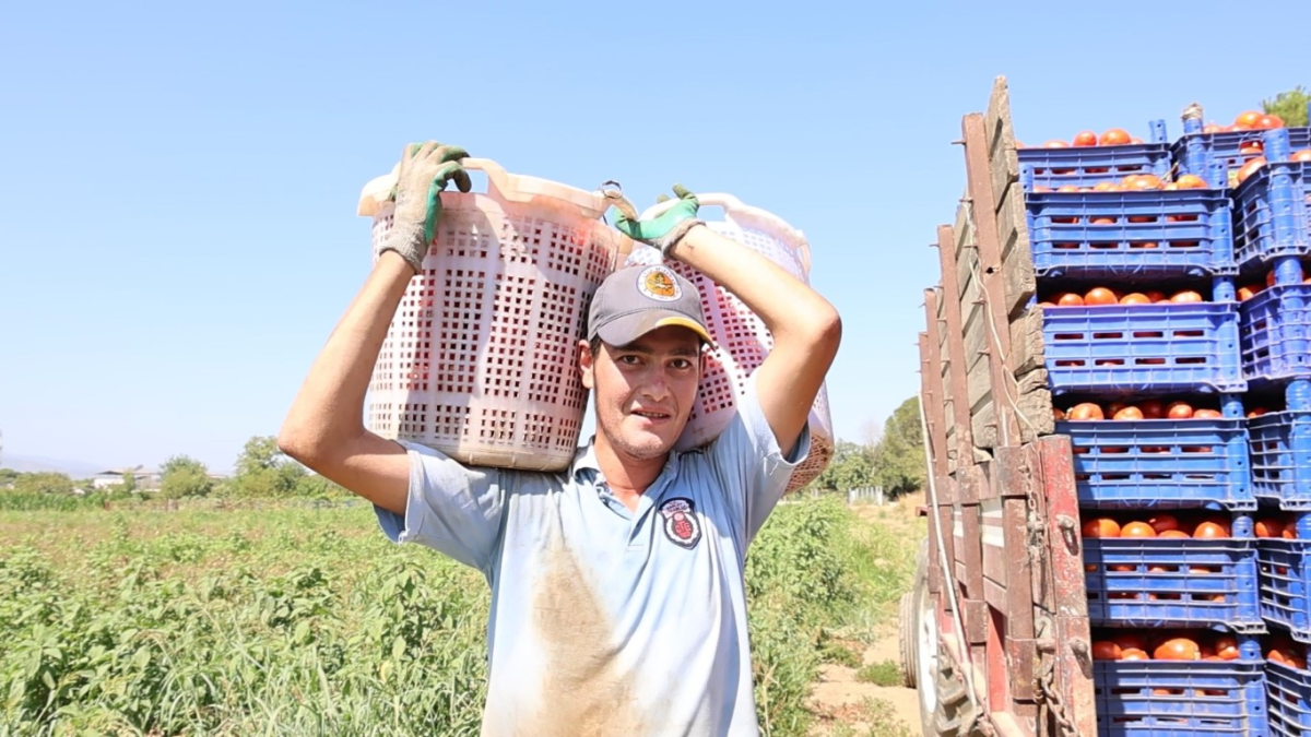 resim-2025-08-19-153053002