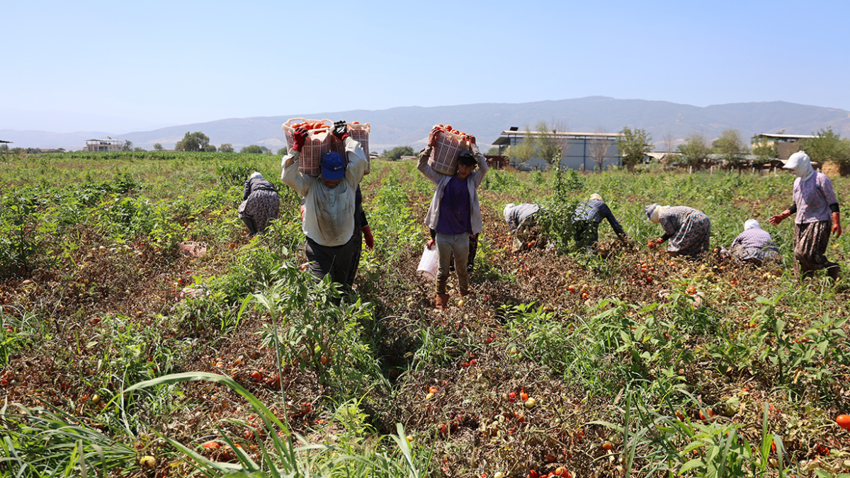 resim-2025-08-19-153109560