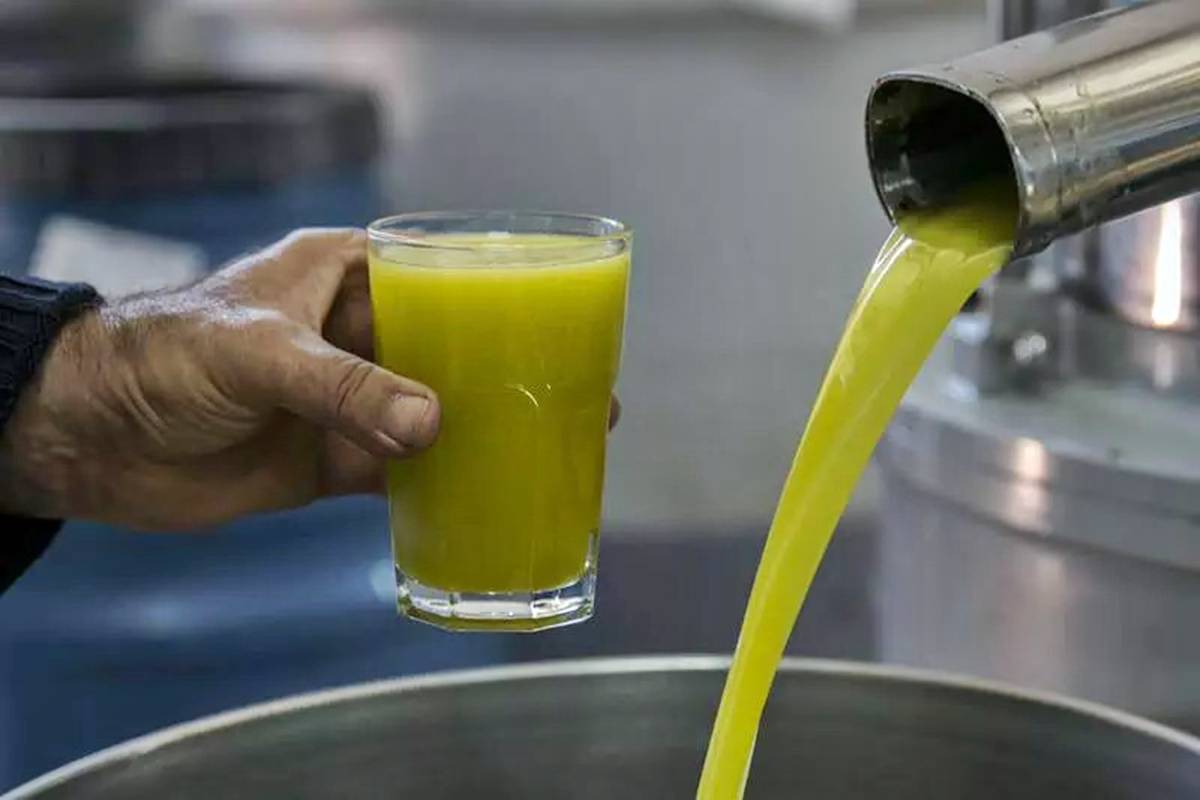 zeytin-sutu-nedir-nasil-yapilir-neye-iyi-gelir