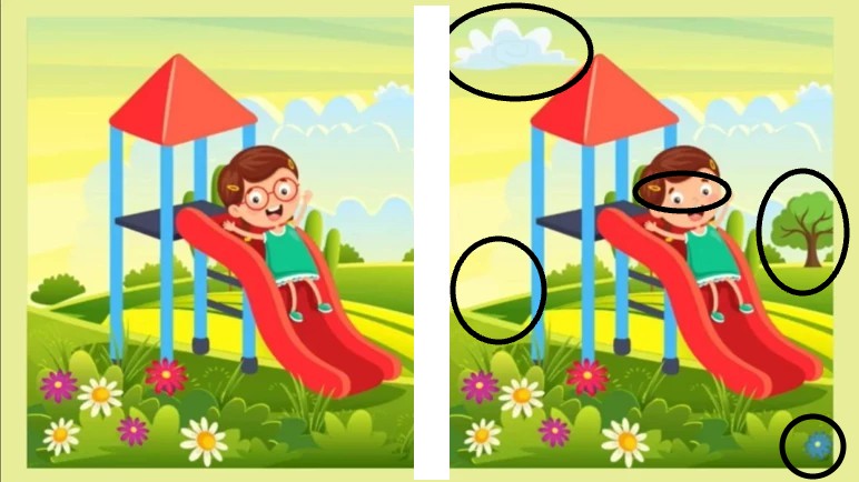 2-resim-arasindaki-fark-1