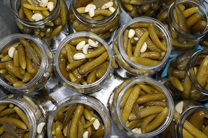 a54cb0d26b9346cf84969a4029021973