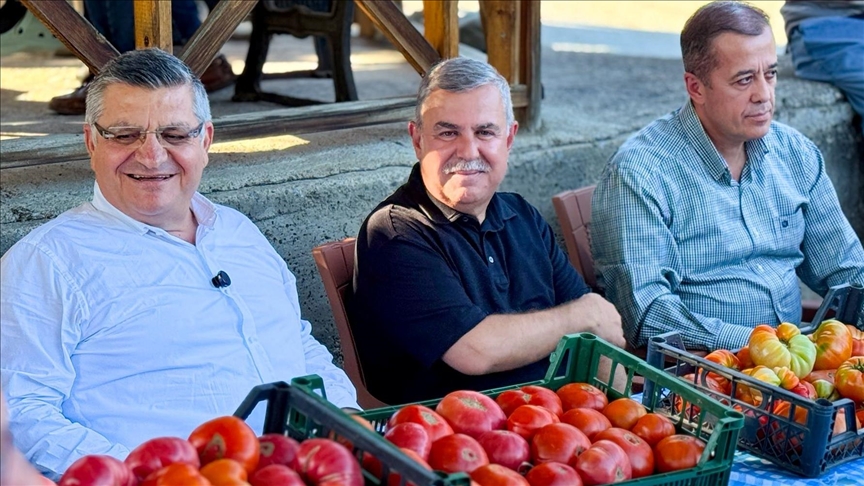 thumbs-b-c-170d1d34e0f6fdceab513de804f3dba3