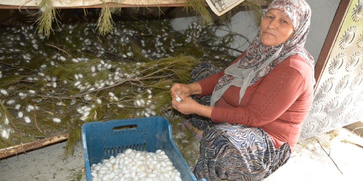 filiz-hanife-keles-ipek-bocegi