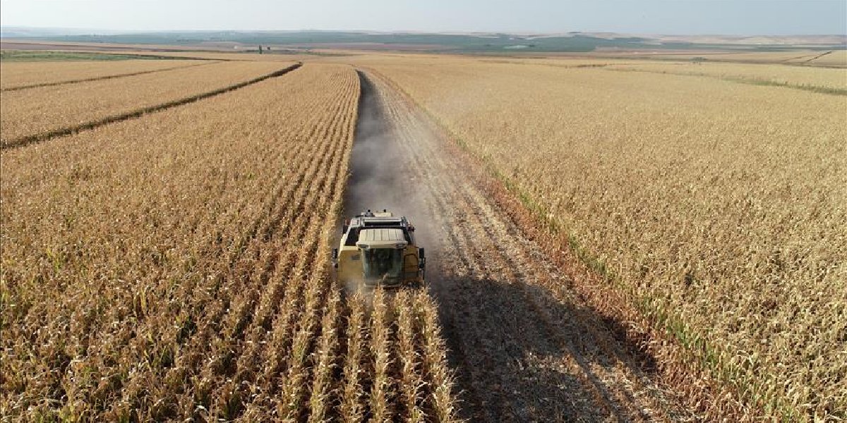 tarim-sayim-seferberligi