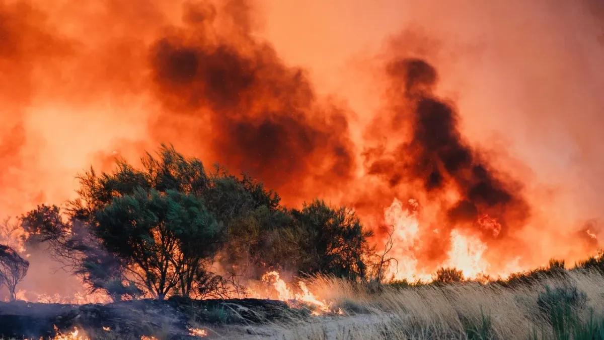 whatsapp-image-2025-08-20-at-120614