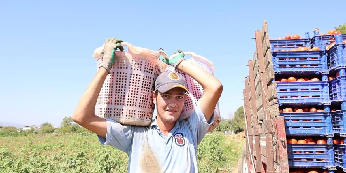 aydinda-tarim-iscileri-1