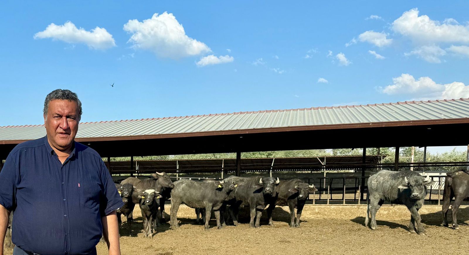 manda-nesli-tukenme-tehlikesi-altinda