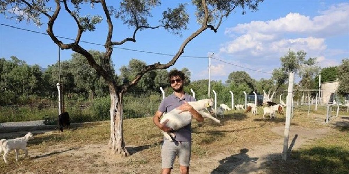 caglar-ozturkler-coban