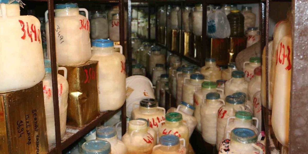 diyarbakirda-kis-icin-peynir-hazirligi-1