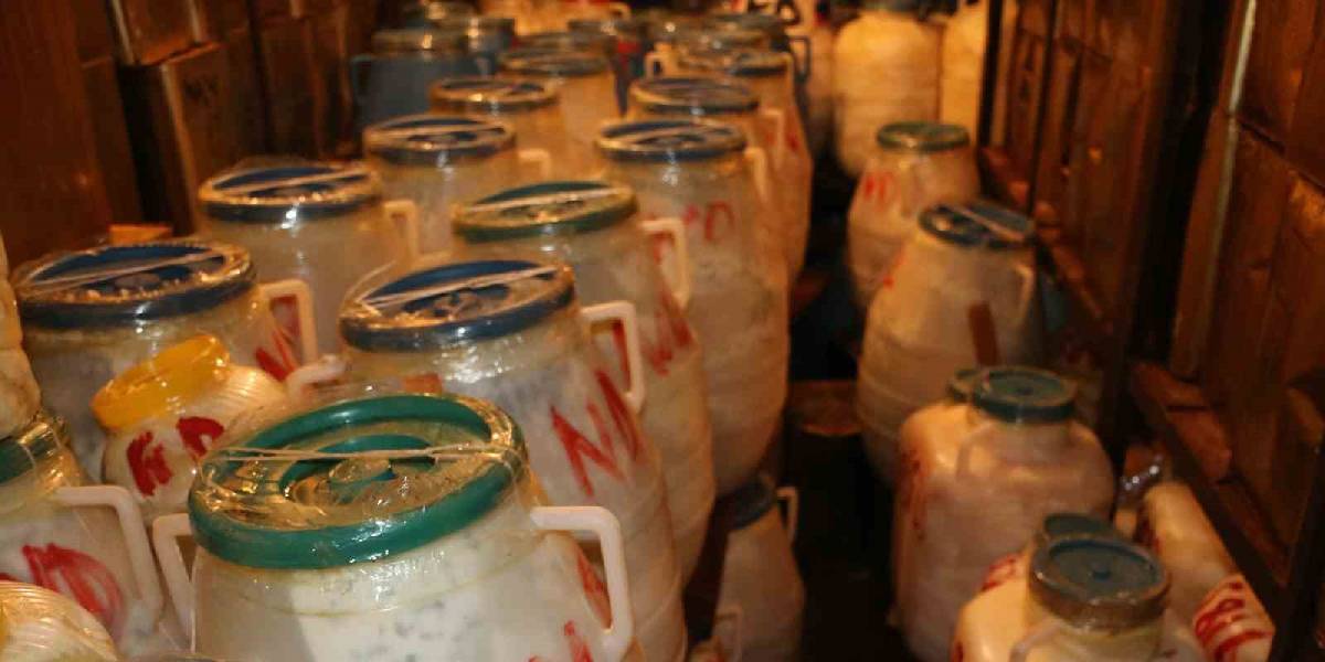 diyarbakirda-kis-icin-peynir-hazirligi-2