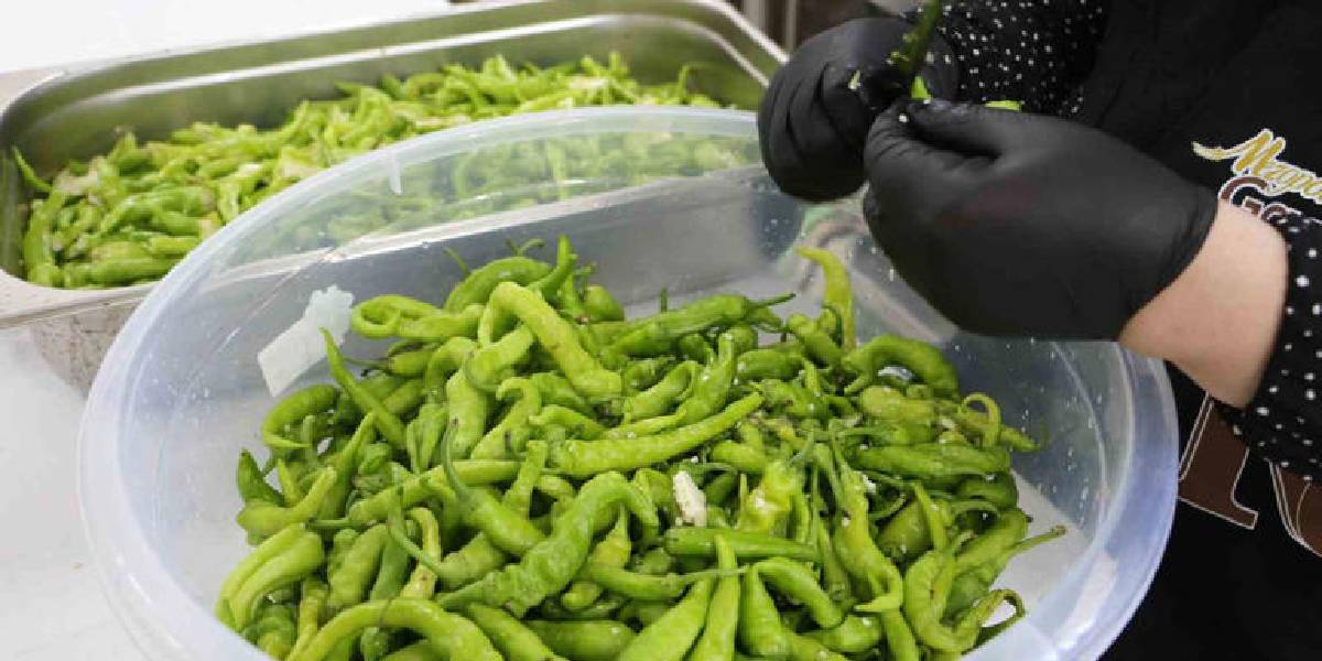 diyarbakirda-kislik-hazirliklari-basladi-2