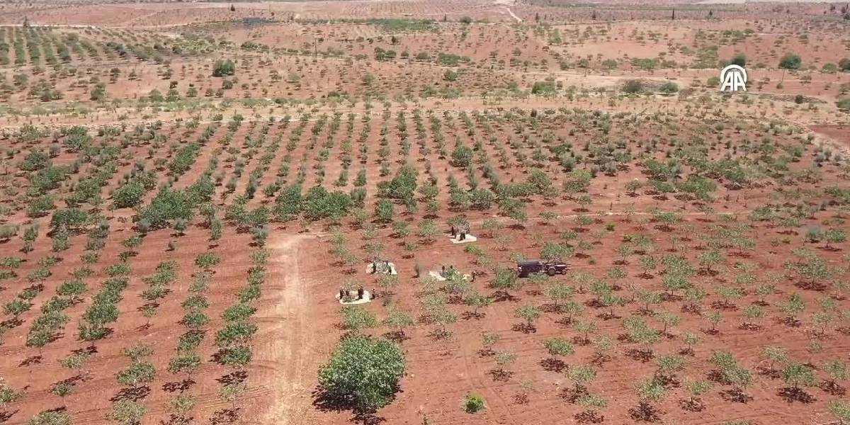 fistigin-kilosu-700-tlye-cikti-1