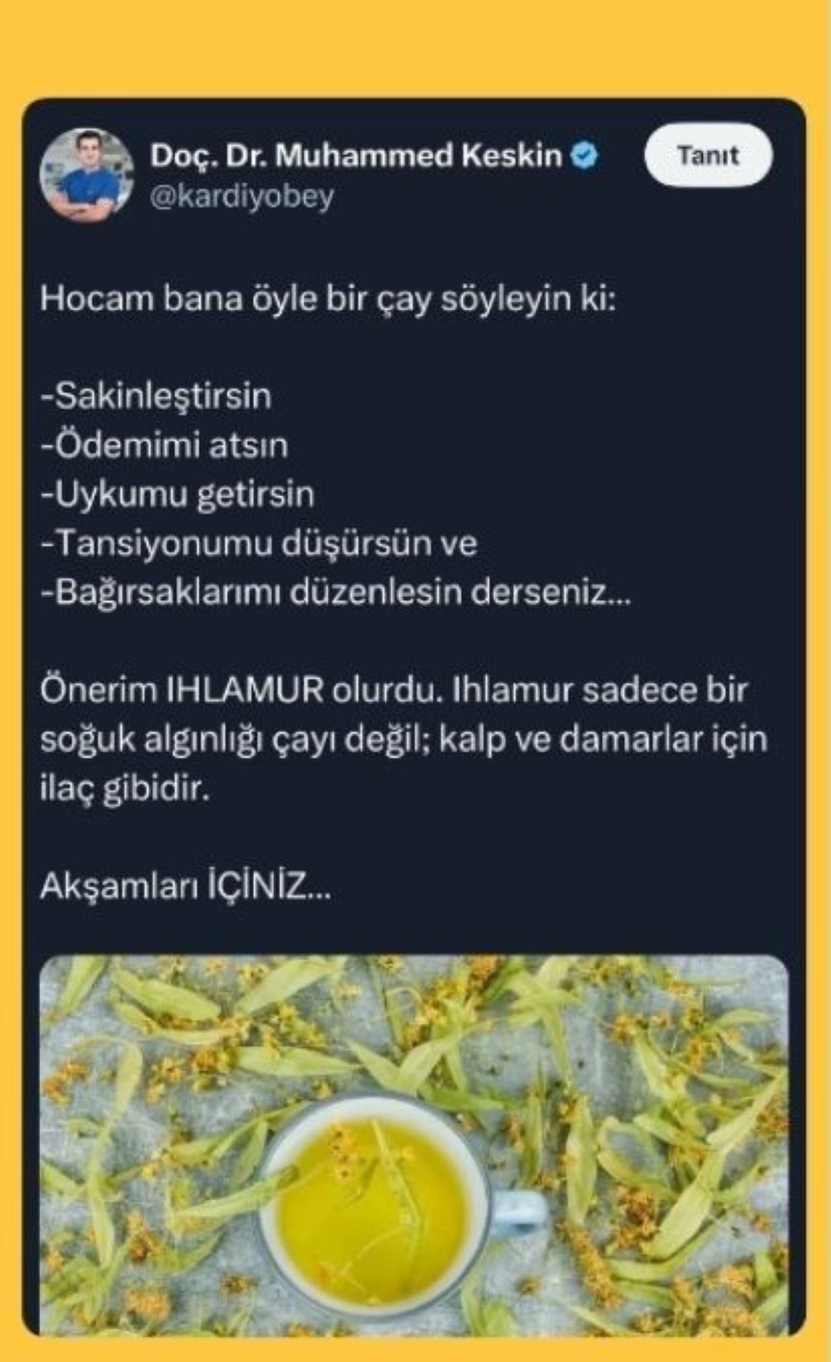 ihlamur-faydalari-insta