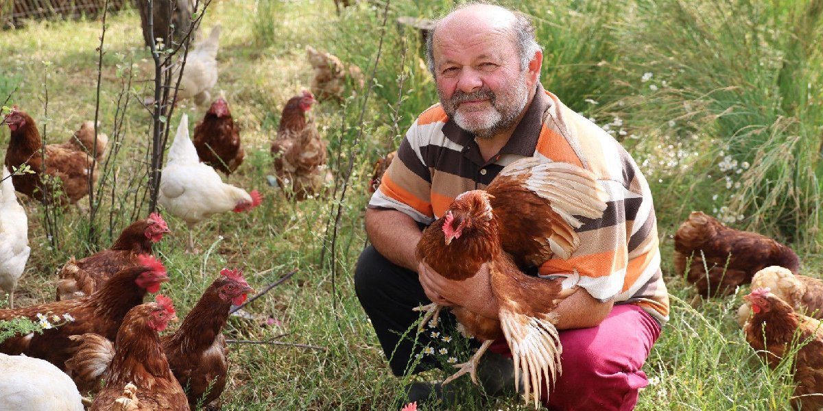 kazim-yuksel-maydanoz-1