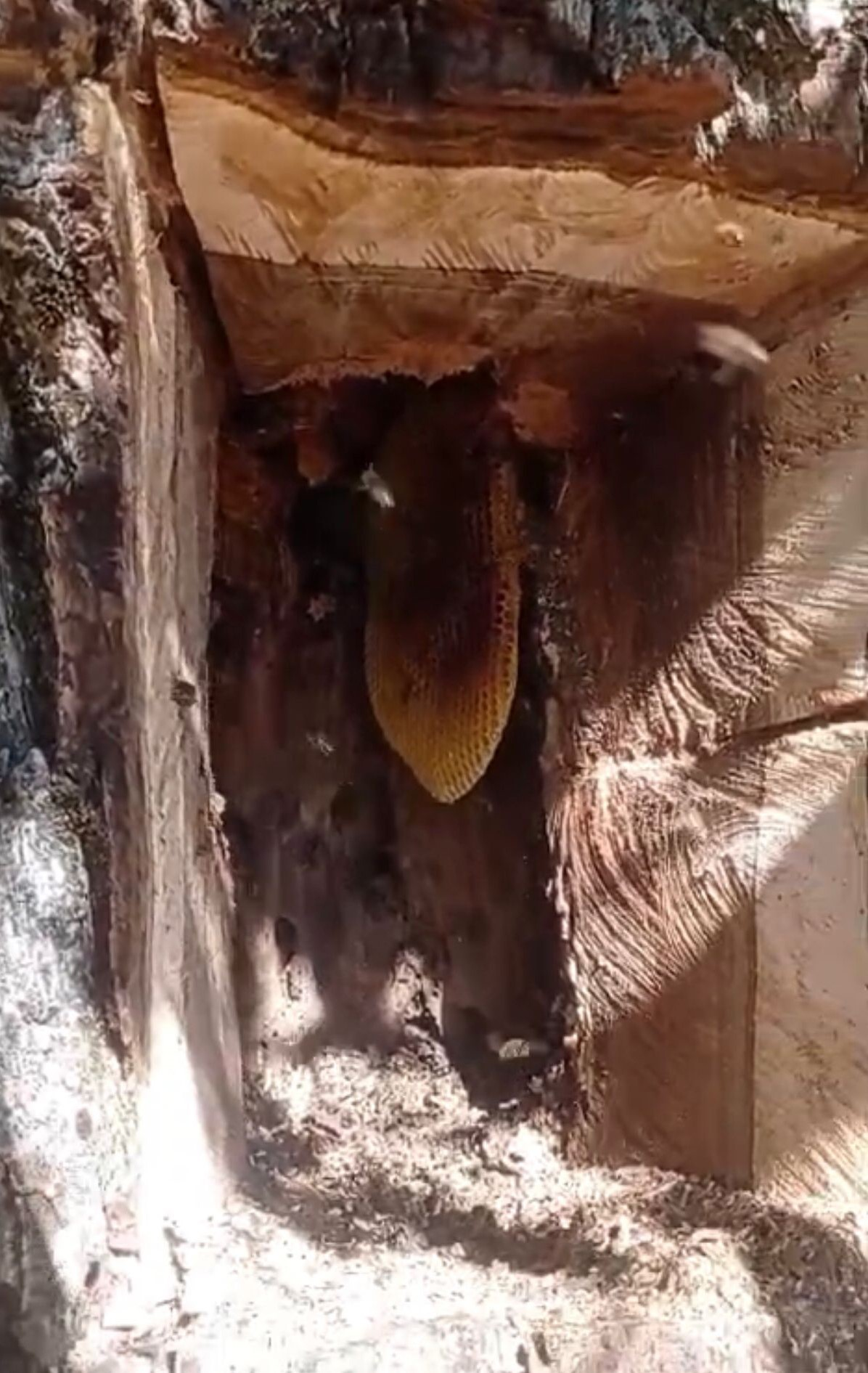 resim-2025-08-24-002027819