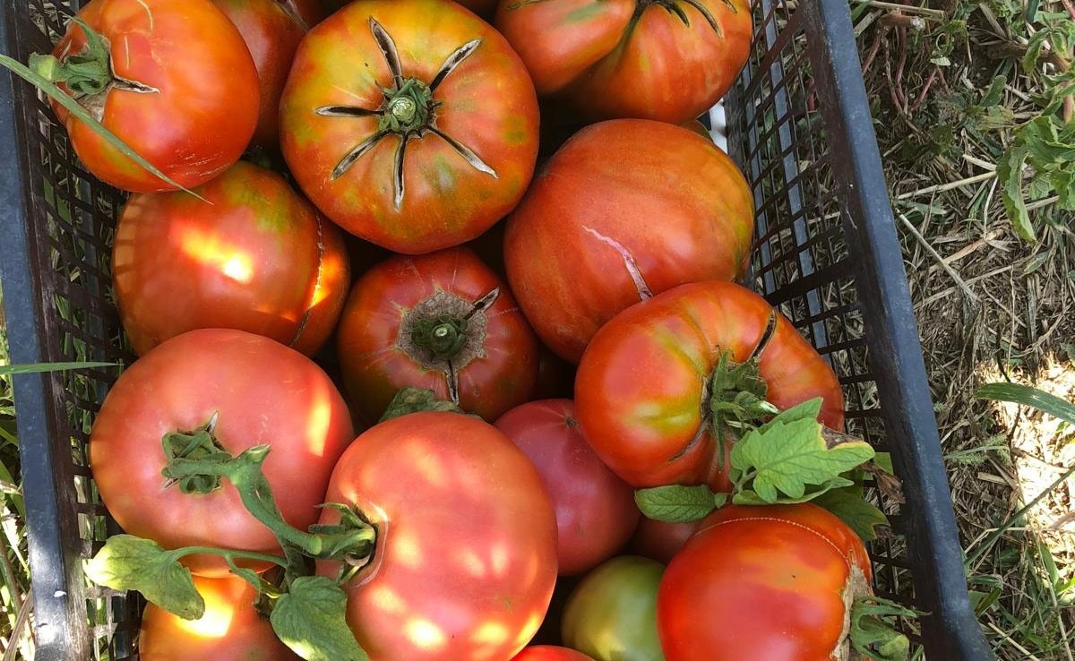 whatsapp-gorsel-2025-08-23-saat-21-24-23-8285f62e