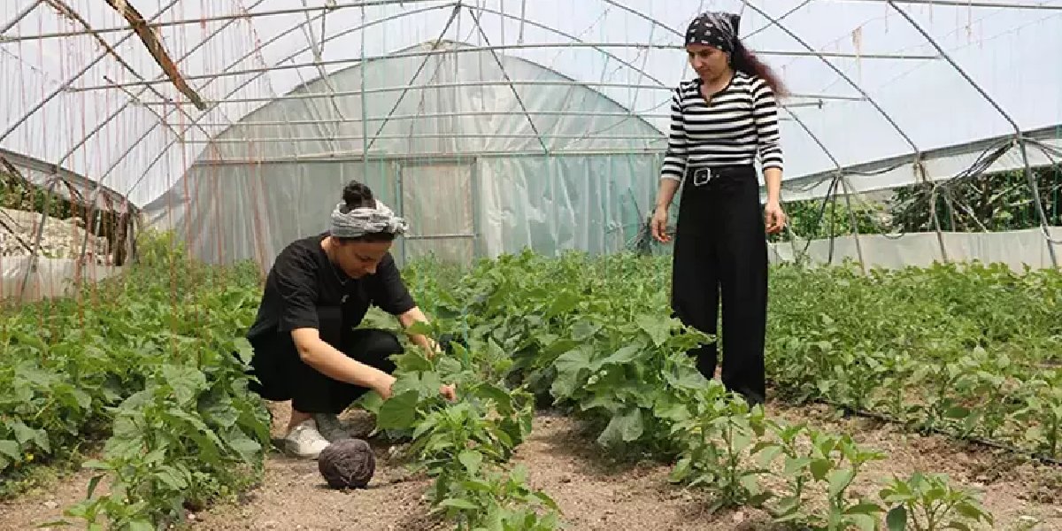 zeynep-cinar-dibekli-koyu