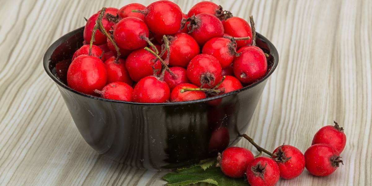 alic-otu-faydalari-2