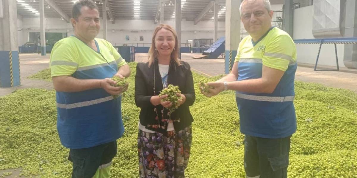 bilecikte-serbetciotu-hasadi-2