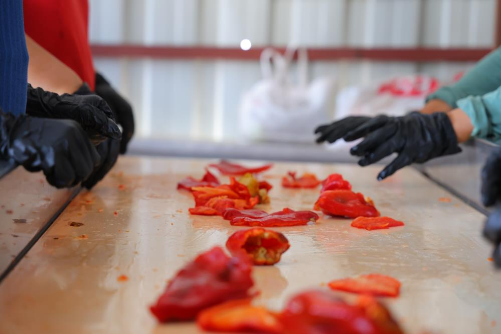 resim-2025-08-25-000126581