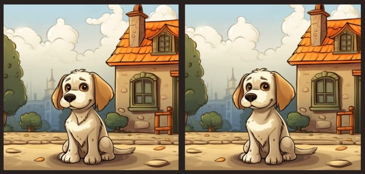 resim-2025-08-25-005236203