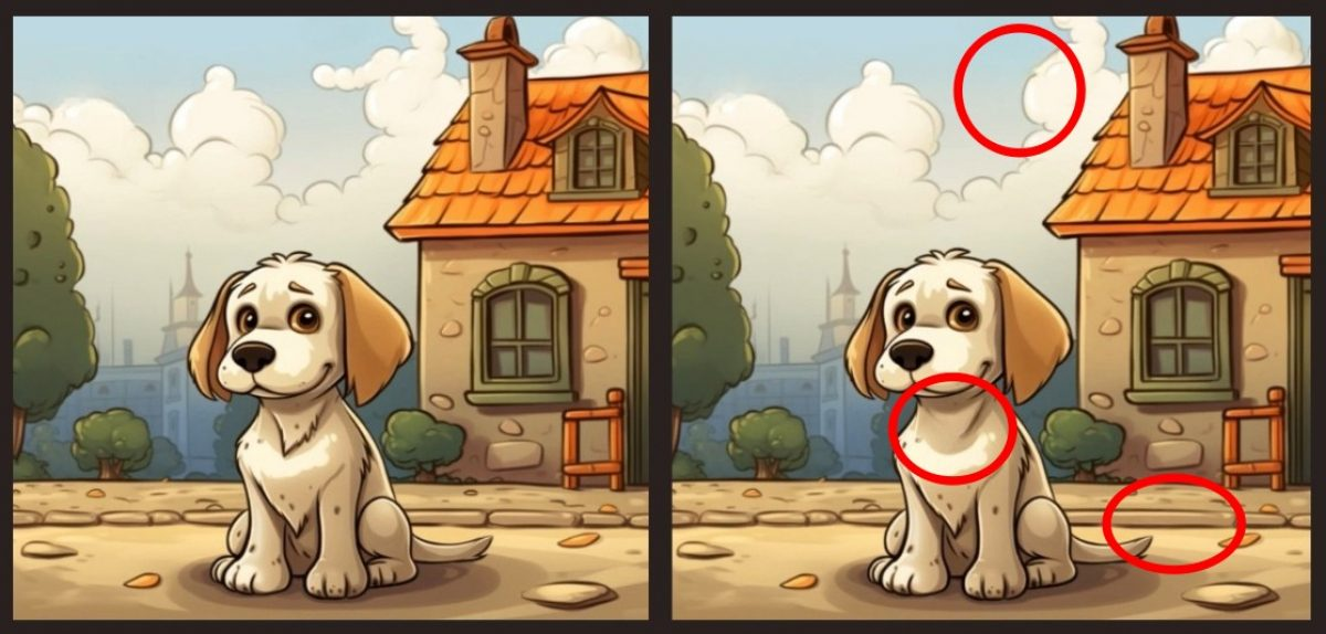 resim-2025-08-25-005311123