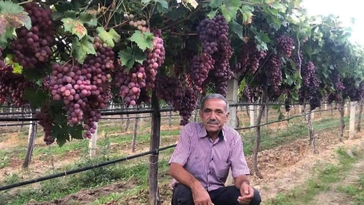 resim-2025-08-25-084901070