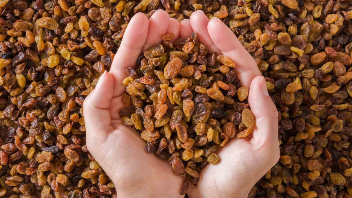 resim-2025-08-25-085458980